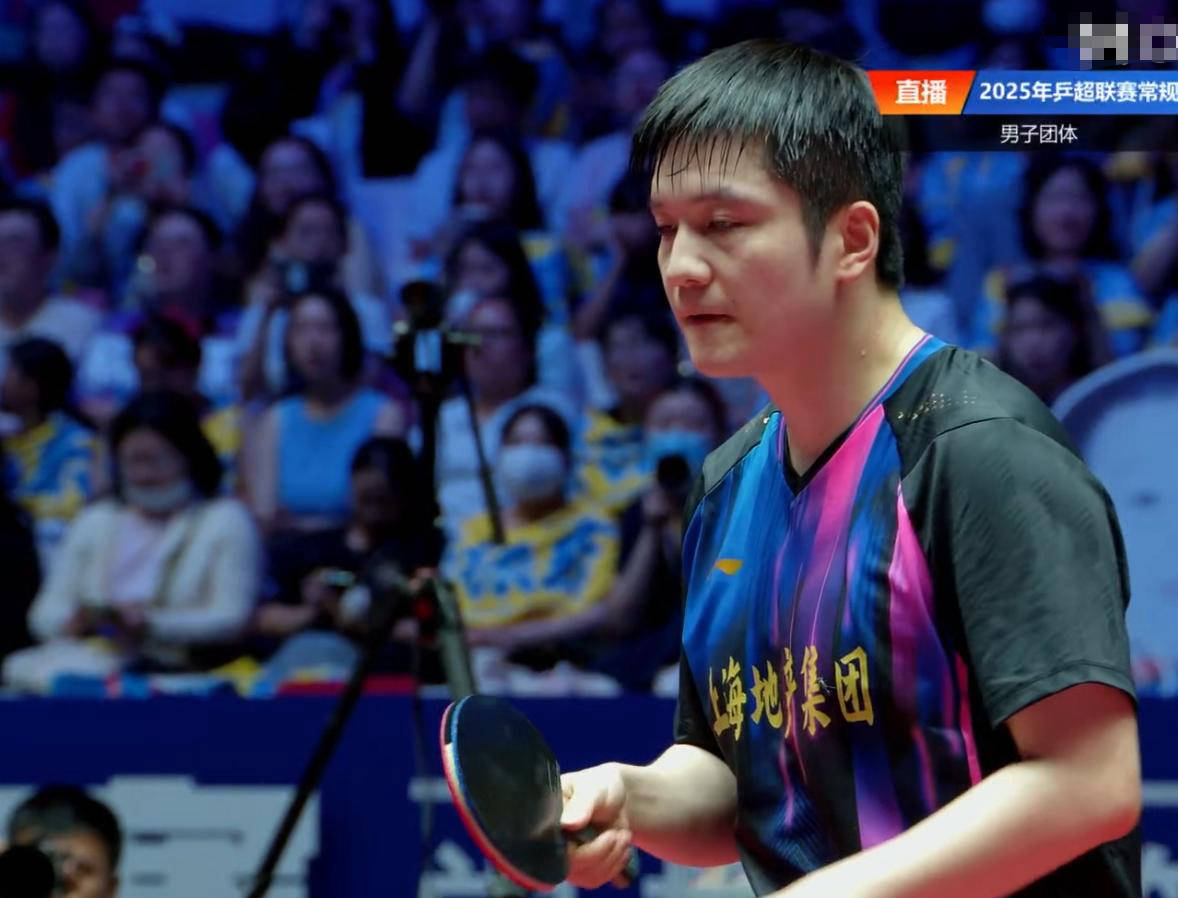 樊振东12连胜，无人能敌！德甲前一战不败，王楚钦非对手